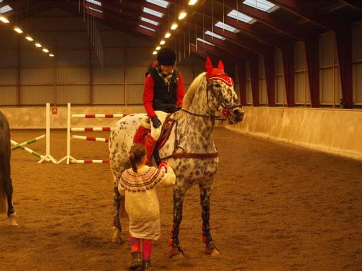 Knabstrupper Abigail af Snevren   - 1plads højdespringning 140cm <3 billede 5