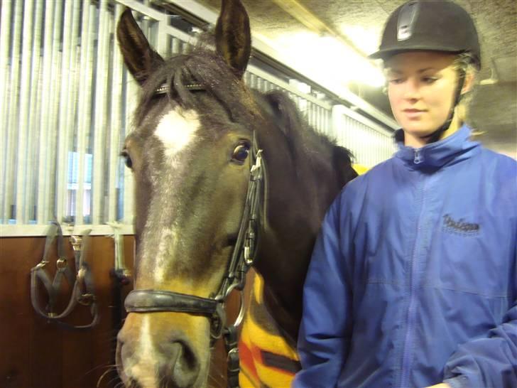 New Forest Daimy ( Cassiopeia ) - Her er Herle og Daimy. Herle er Daimy´s ejer. billede 2