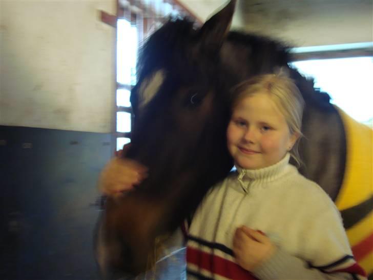 New Forest Daimy ( Cassiopeia ) - Kom her Daimy. billede 15