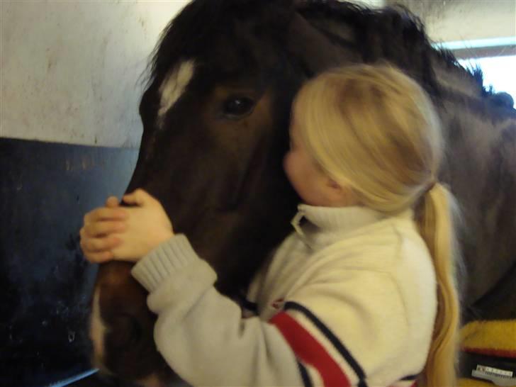 New Forest Daimy ( Cassiopeia ) - Daimy og Nana. billede 17