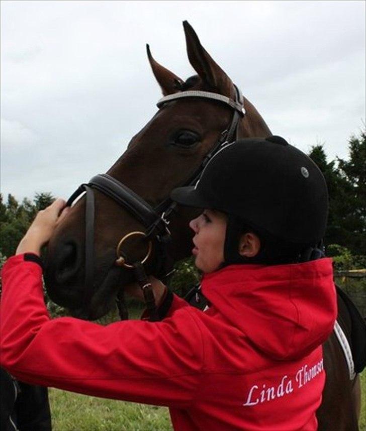 Dansk Varmblod Faster - Stævne i Malling Foto: Linda billede 9