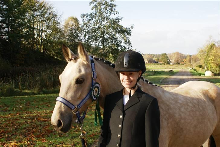 Anden særlig race Chanel *Solgt* - Vi fik en tredje plads i dressuren og red til 60% =) billede 15