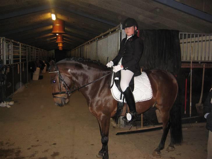 New Forest Hali´s Randy R.I.P - verdens bedste pony elsker dig <3 billede 5