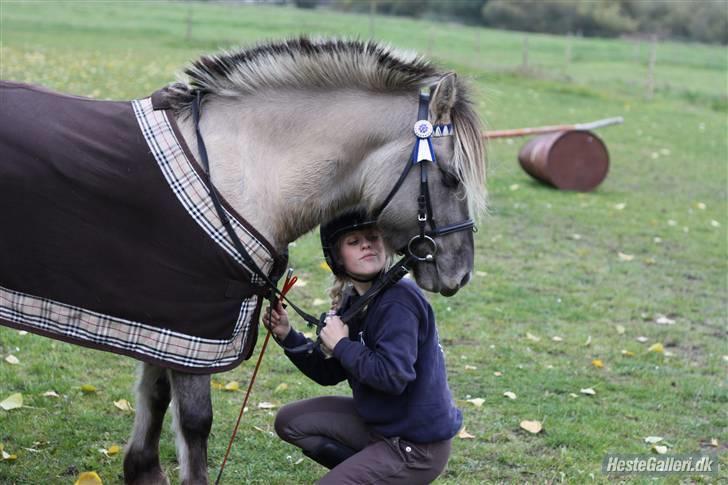 Anden særlig race Lucas<3 (SOLGT & SAVNET!) - # 7. Elsker dig mit et og alt, du er mit Liv Lucas <33 Foto: Nadia Jørgensen  billede 7