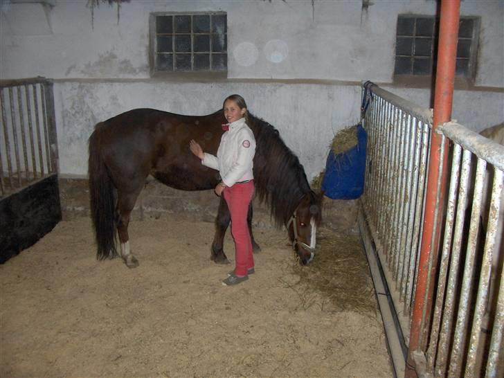 Anden særlig race lucas (solgt) - nu er jeg endelig ankommet til mit nye hjem... billede 3