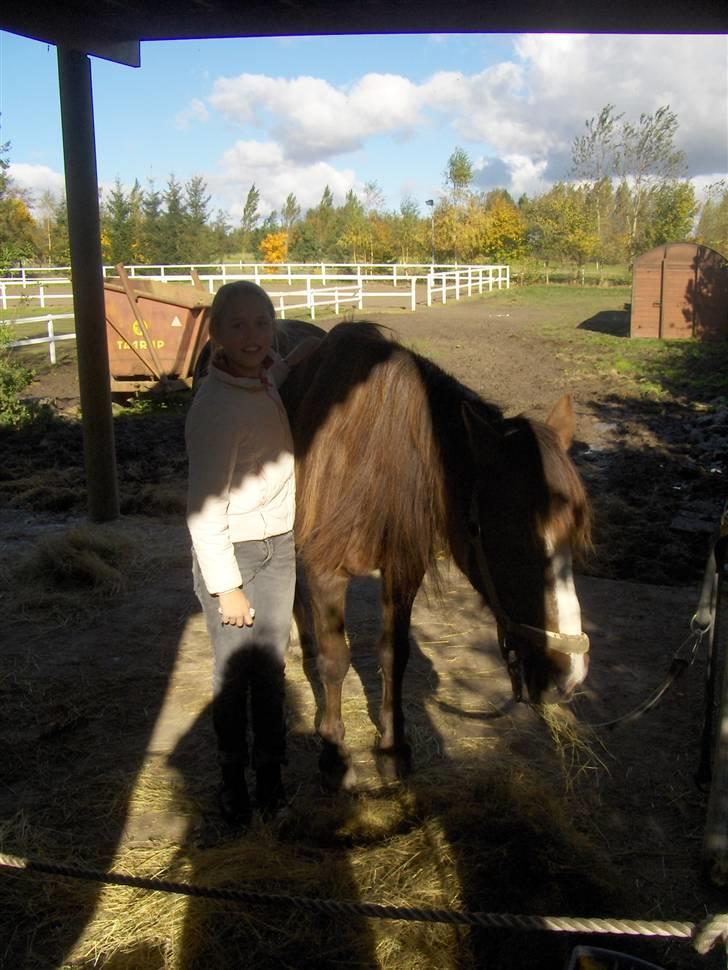 Anden særlig race lucas (solgt) - her er min nye ejer kommet for at kigge på smukke mig ved mit gamle sted. billede 4