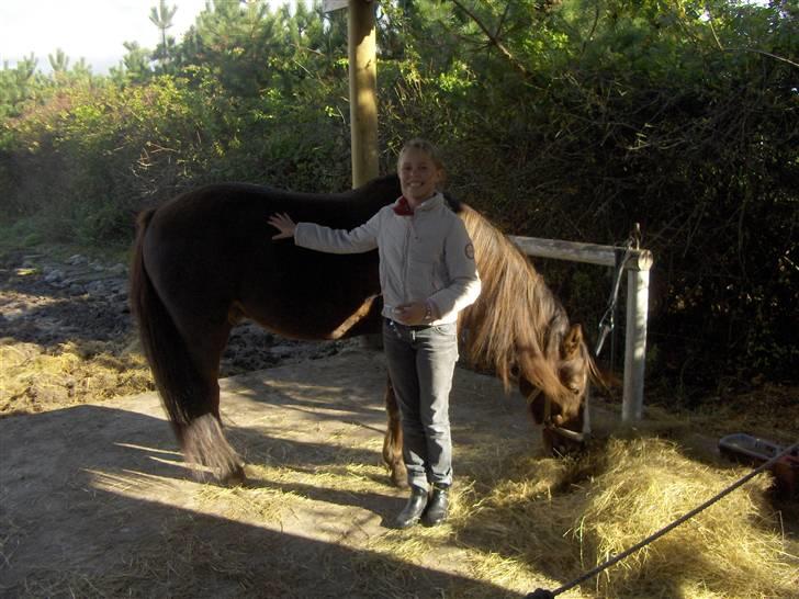 Anden særlig race lucas (solgt) billede 5