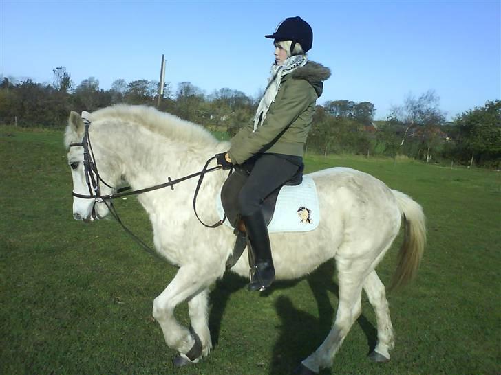 Anden særlig race Angelig Ligge R.I.P. billede 6