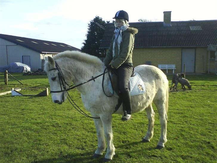 Anden særlig race Angelig Ligge R.I.P. billede 7