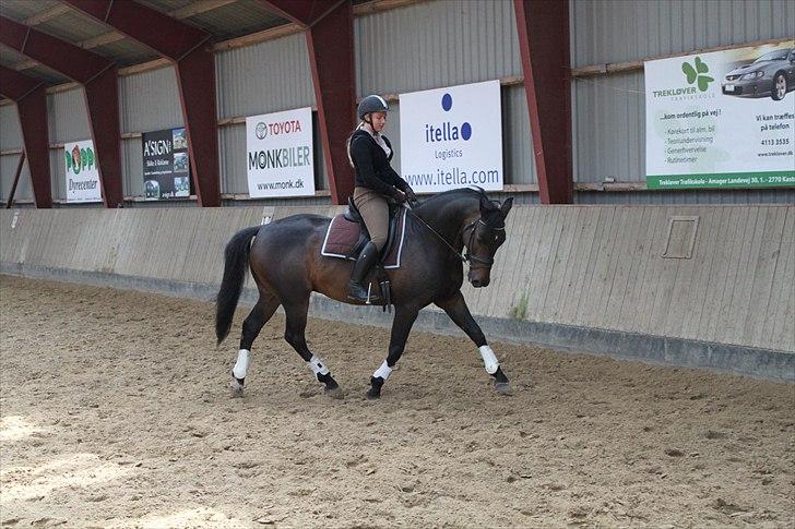 Holstener Escobar - Forår 2011 billede 20