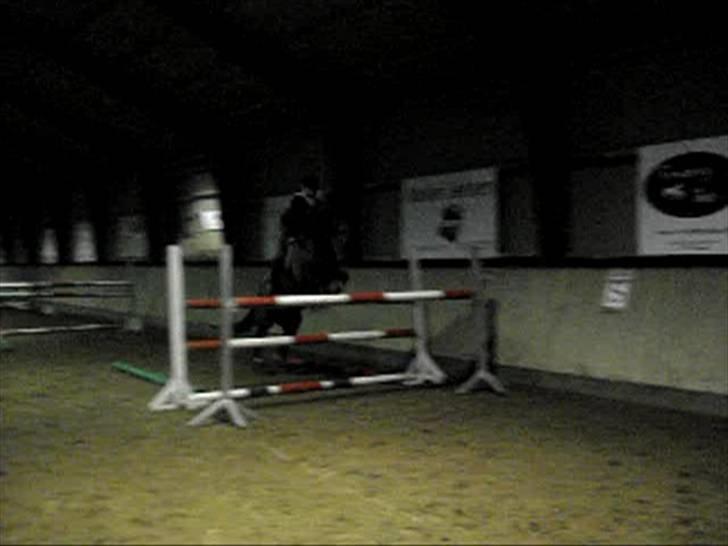 Holstener Escobar - Vinter 2008 billede 19