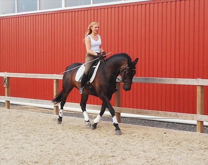 Holstener Escobar - Sommer 2010 billede 12