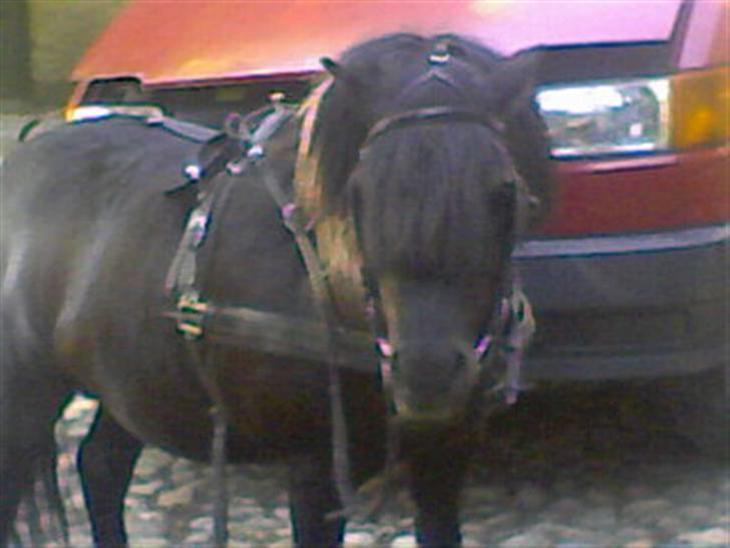 {{currentPhoto.altText}} billede {{currentPhoto.number}}