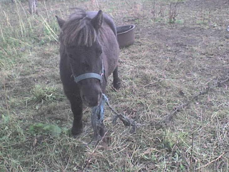 {{currentPhoto.altText}} billede {{currentPhoto.number}}