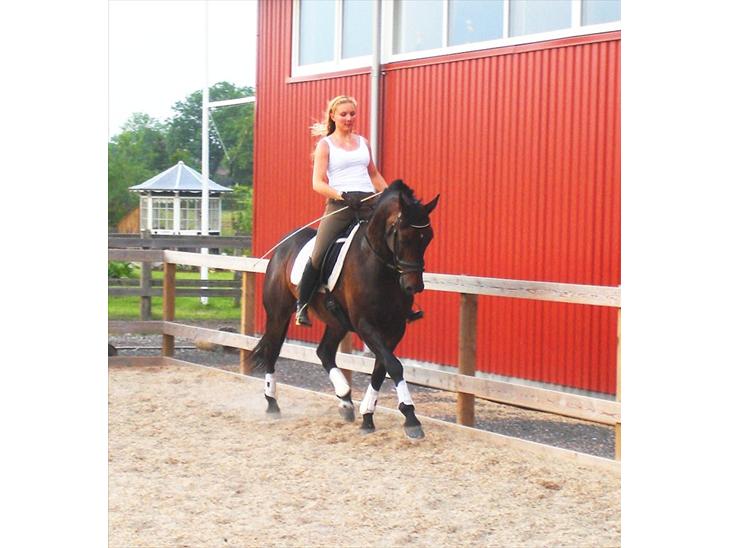 {{currentPhoto.altText}} billede {{currentPhoto.number}}