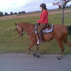 Traver hannibal park