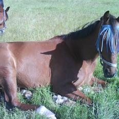 Traver hannibal park