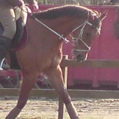 Traver hannibal park