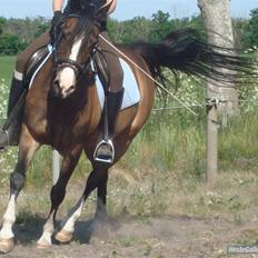 Anden særlig race Samson<33 My soulmate<33