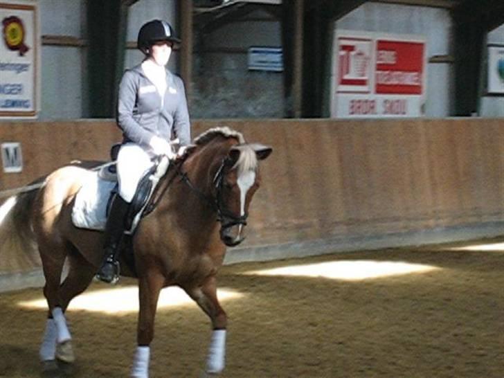 DSP Fina De Robinson. <3SOLGT - LB1 stævne i Rom Rideklub billede 1