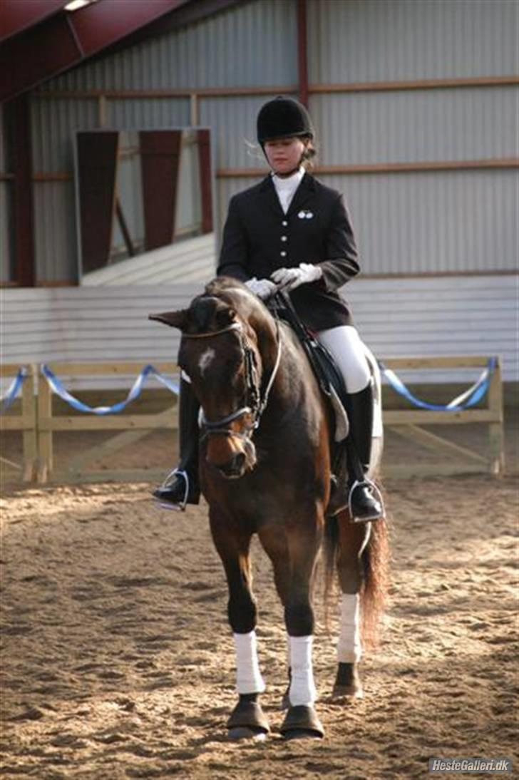 Oldenborg Beate  - Parade i LA1. Foto: Maibritt. Tak fordi du kiggede. Smid en kommentar og bedømmelse :) billede 19