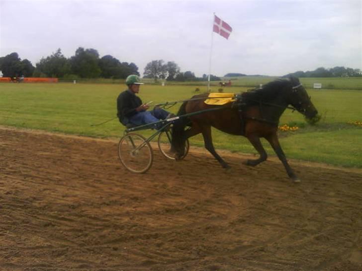 Anden særlig race Charlie ¤R.I.P¤ - Jens Arne og Charlie i oldboys billede 11