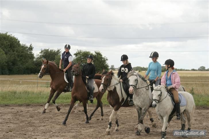 Dansk Varmblod Francesca G  - dv-lejr 2008. Et forsøg på en mølle :P billede 2