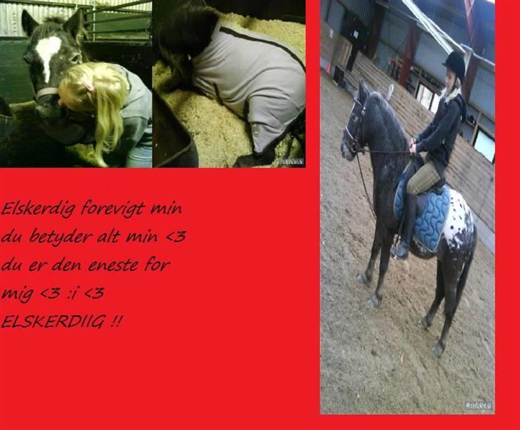 Anden særlig race tarzan  - JEGELSKERDIG FOREVIGT <3 ;* billede 12