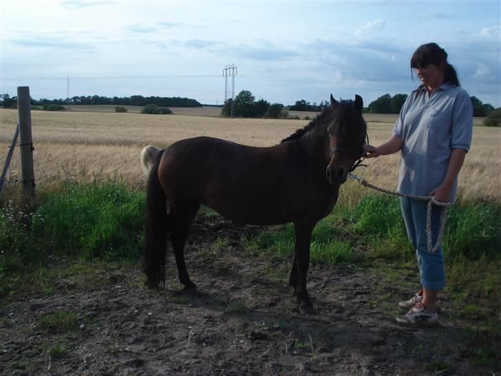 Anden særlig race bamse billede 4