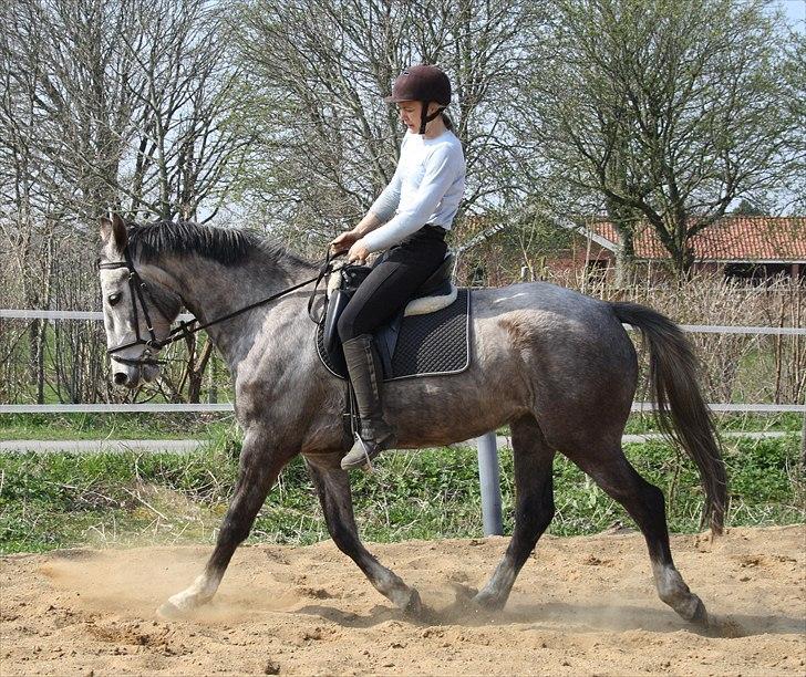 Anden særlig race Zera - april 2011 billede 6