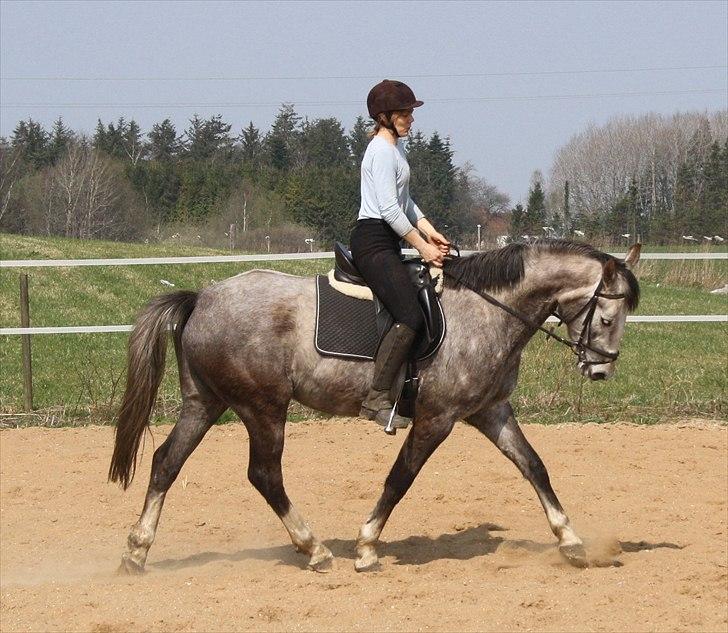 Anden særlig race Zera - april 2011 billede 7