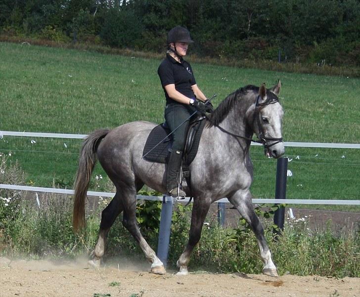 Anden særlig race Zera - 3 sept. 2010 billede 8