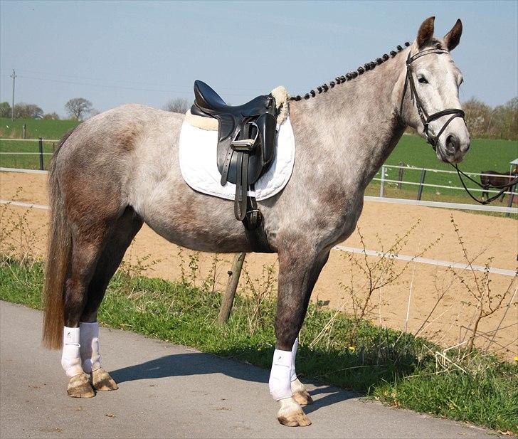 Anden særlig race Zera - Zera april 2011 billede 9