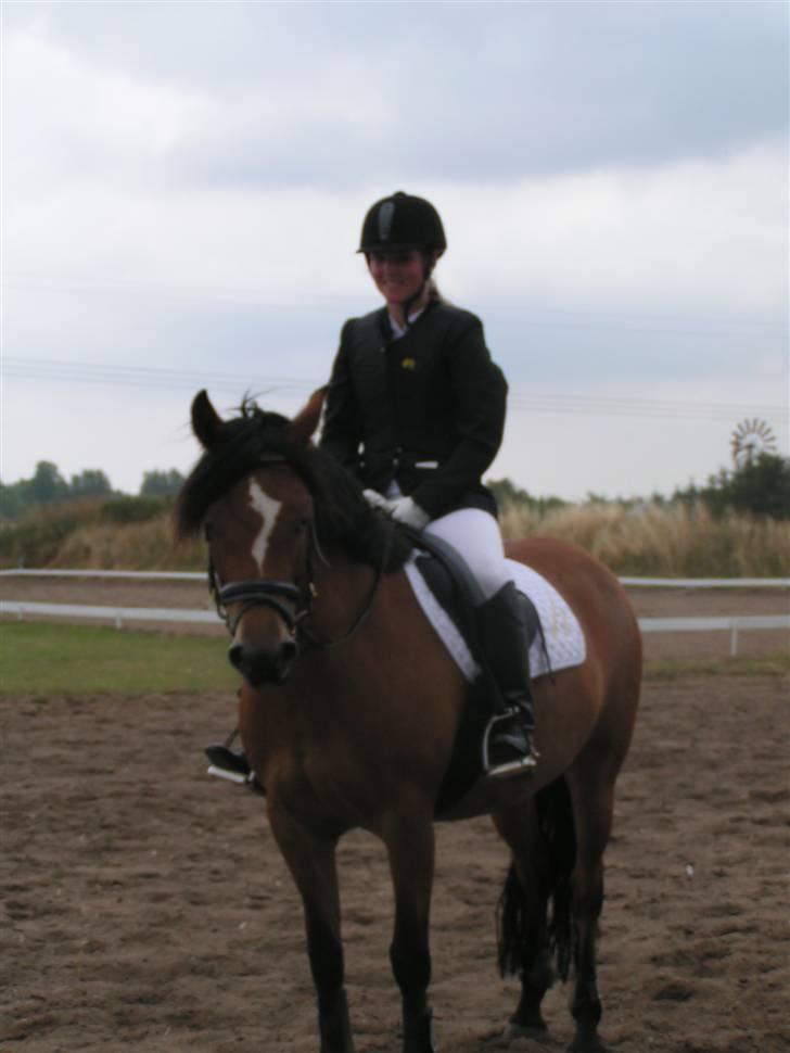 New Forest Stegstedgaards Lynette  - Til stævne i Nordvest sjællands rideklub.. Man bliver vel altid lidt træt bagefter (: billede 3