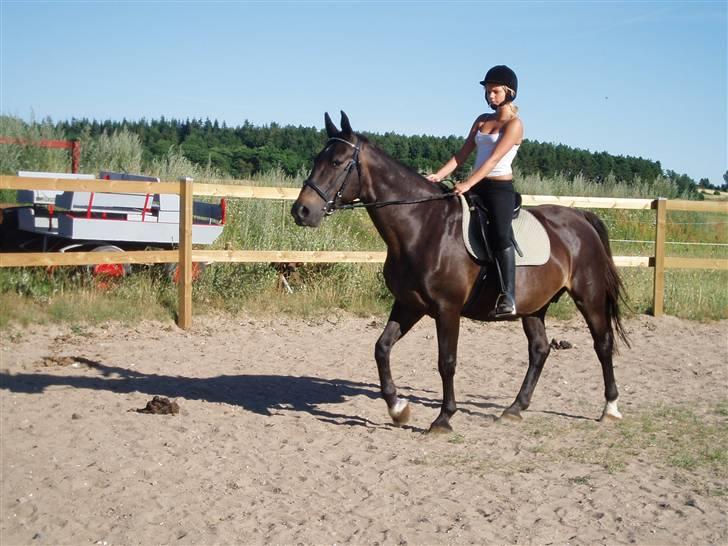 Anden særlig race Fleur  - Første gang vi red hende efter vi fik hende hjem billede 1