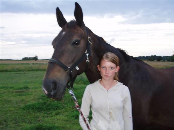 Anden særlig race Fleur  - 8 september 2006. på vej fra fold billede 6