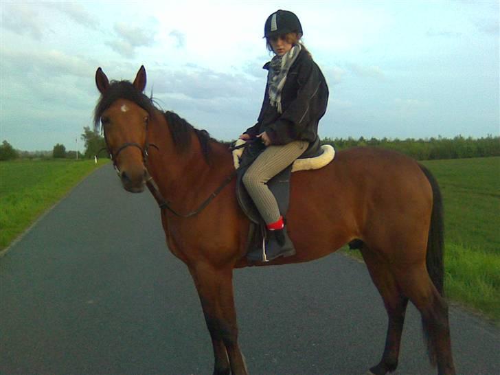 Traver Nitro Crown  - første gang med rytter ;) billede 8