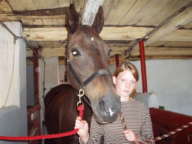 Anden særlig race Fleur  - September 2006 billede 7