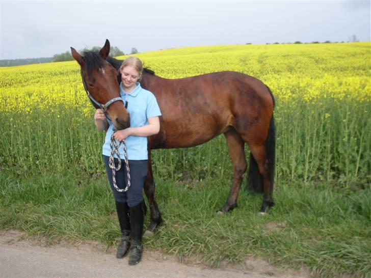 Connemara Hesselholts Rebel Queen - Queeny og mig ;B billede 9