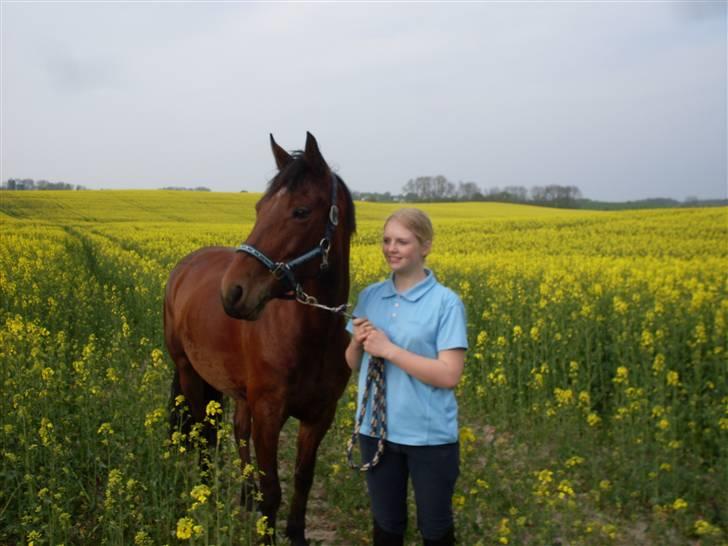 Connemara Hesselholts Rebel Queen - Mig Queeny :) <3 billede 14