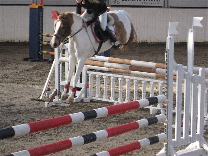 Anden særlig race Fire Fly   - velkommen til FIREs profil. smid en komentar:) (til min konfi:D billede 1