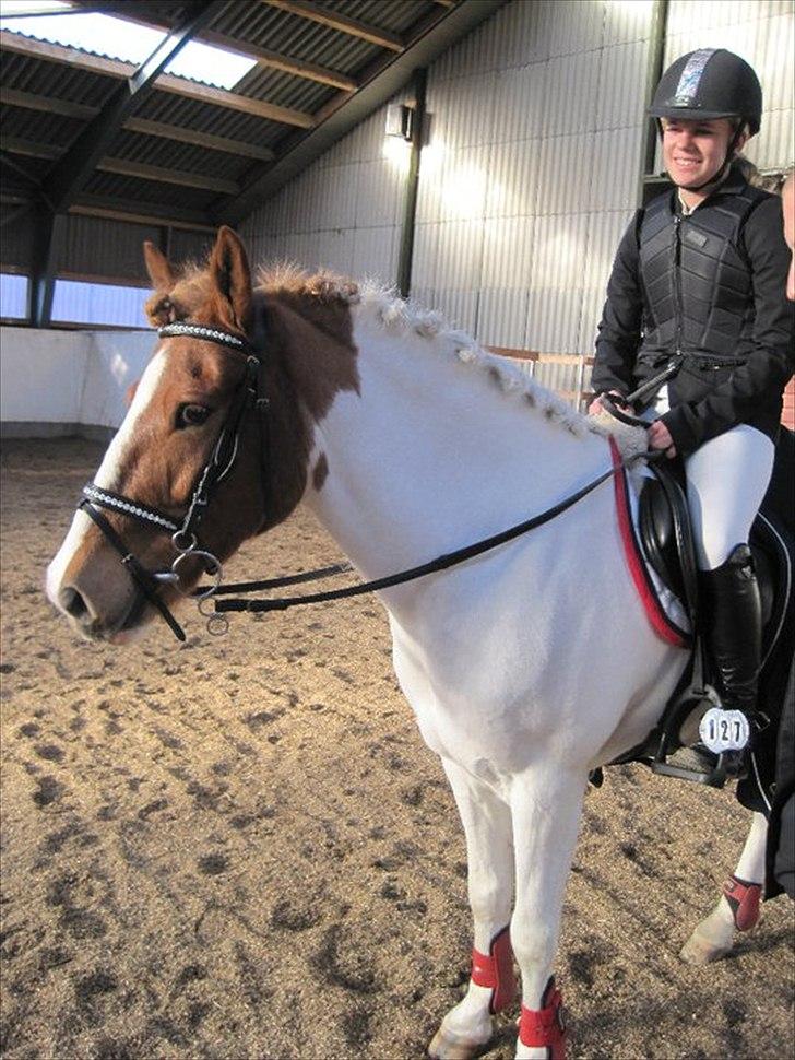 Anden særlig race Fire Fly   - elsker diig skath billede 6