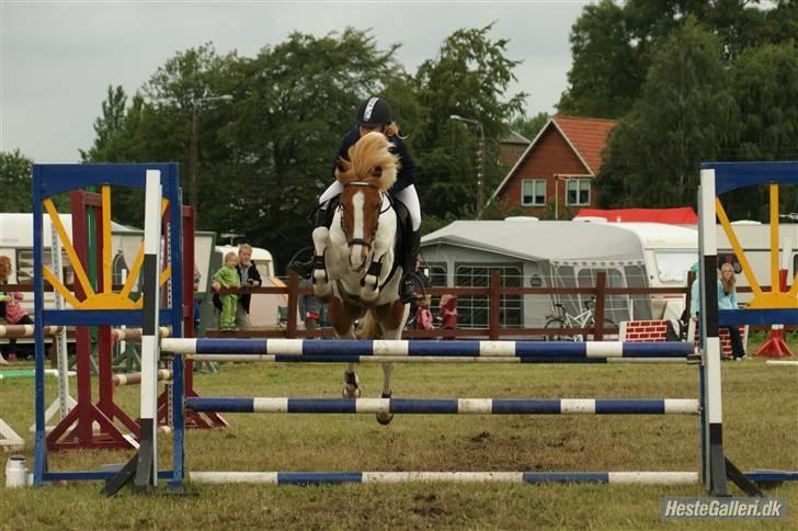 Anden særlig race Fire Fly   - elsker diig smukke skath billede 7