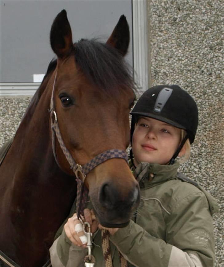 New Forest Hali´s Randy R.I.P - min elskede flotte pony. elsker dig ubeskrivligt højt:$<3 verdens bedste pony billede 12