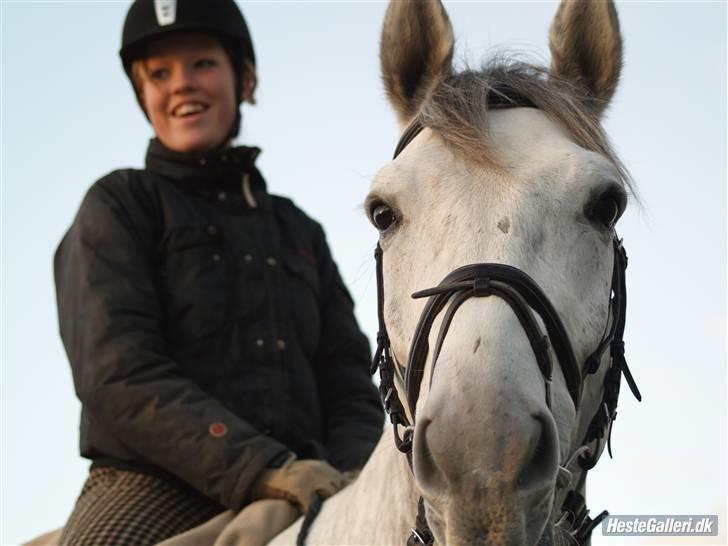 Holstener La-Z - Tjaaa ? ret sjovt billede ? billede 3