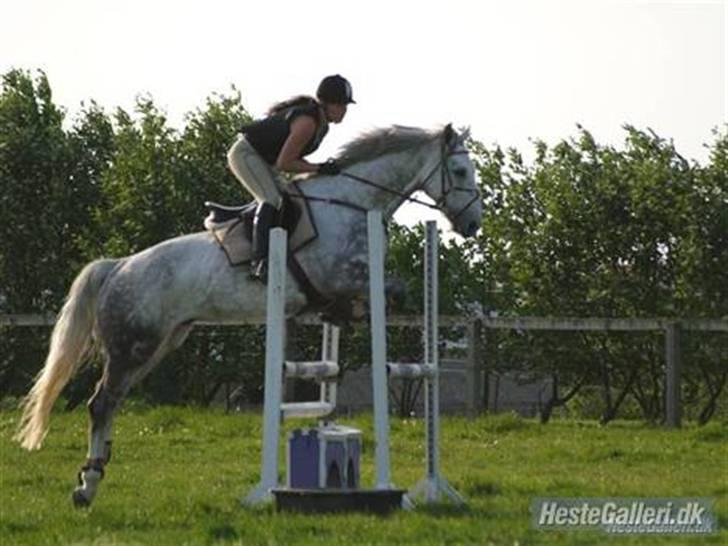 Holstener La-Z - Spring i sommers , 1,10 eller sådan noget (: billede 4