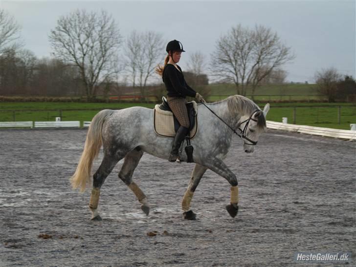 Holstener La-Z - Dressur ridning, November 07 billede 9