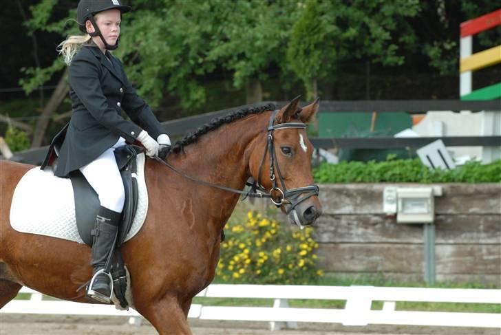 New Forest Fire Fod Joanna-solg t:-( billede 19