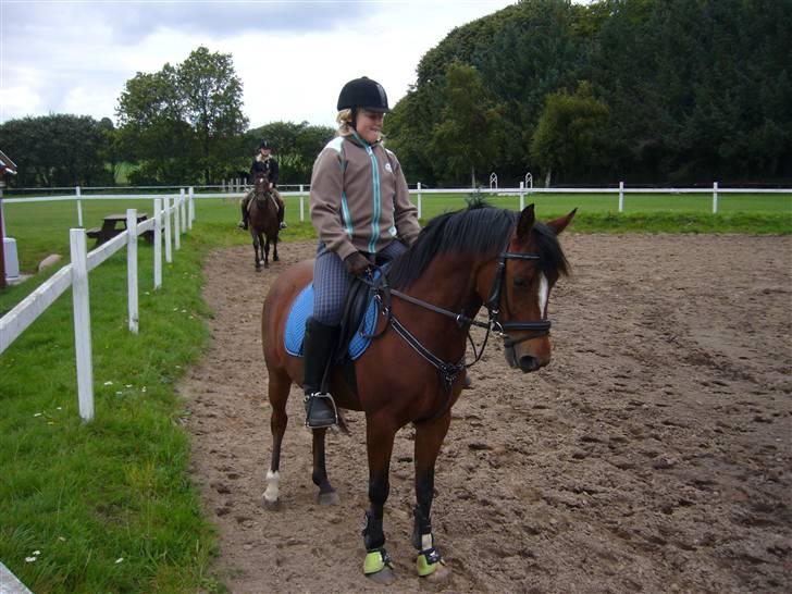 DSP zippo 'aflivet' - der er mig og min super pony første spring undervisning udenfor efter jeg fik han:) hehe billede 1