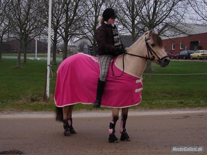 Anden særlig race Miss Milka(Tidl. halvpar) - Nu står jeg meget pænt!! i følge mig i hvert fald!?=) billede 18
